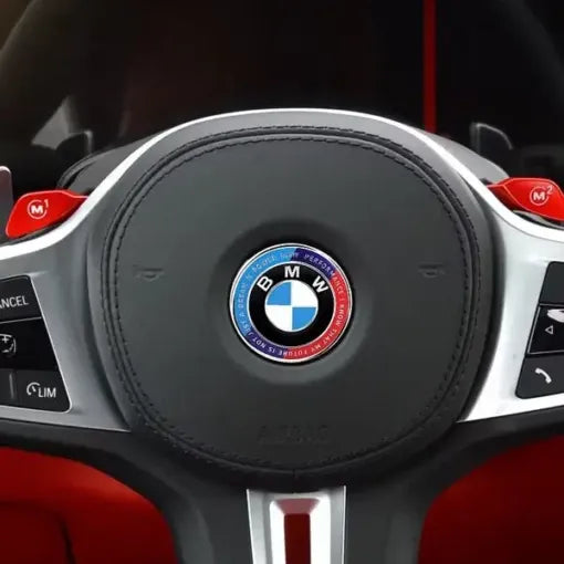 BMW Ratt Emblem 45mm